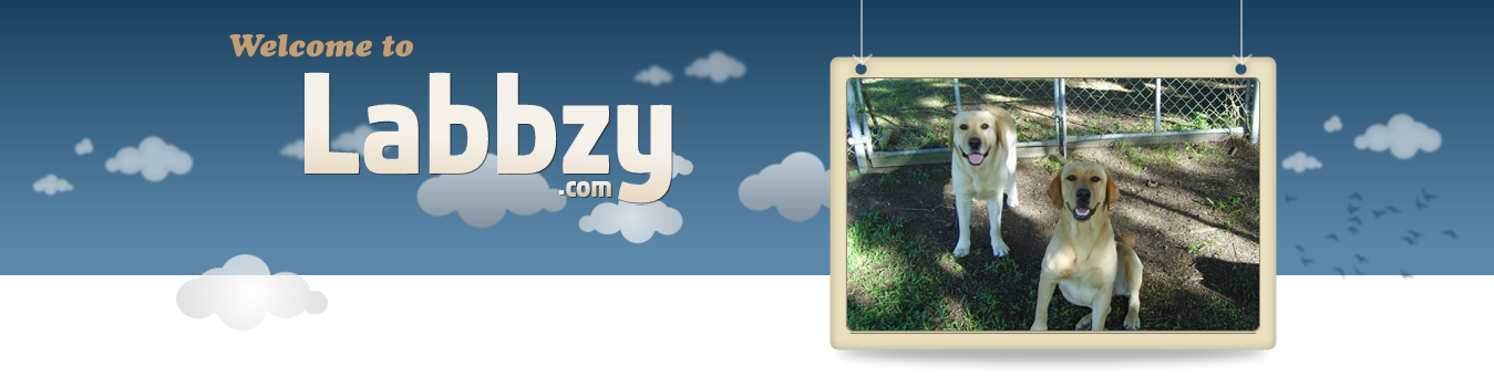 Labbzy Banner
