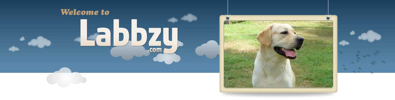 Labbzy Banner