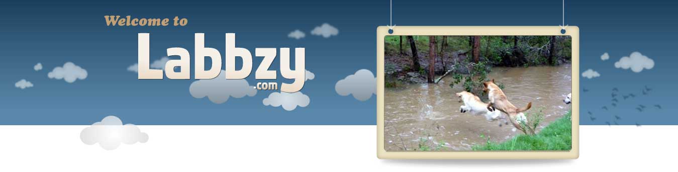 Labbzy Banner