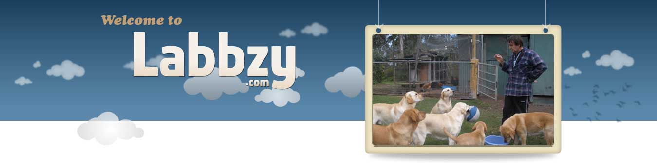 Labbzy Banner