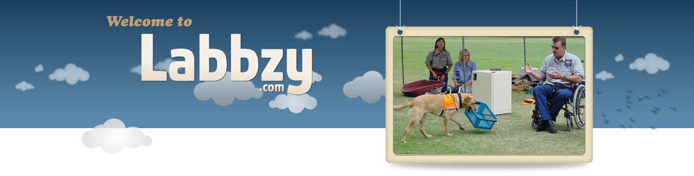 Labbzy Banner