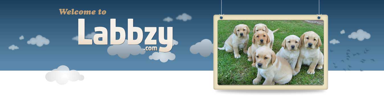 Labbzy Banner