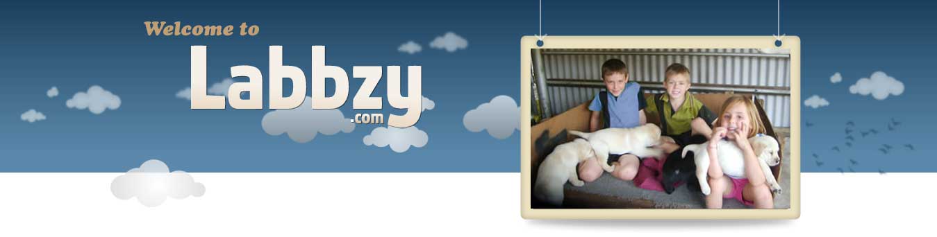 Labbzy Banner