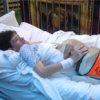 Therapy Dog