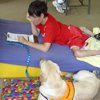 Therapy Dog