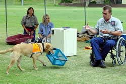 Tommy and Jerry improving life for people with disabilities