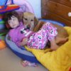 Therapy Dog