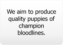 We Aim